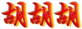 logo WINER69